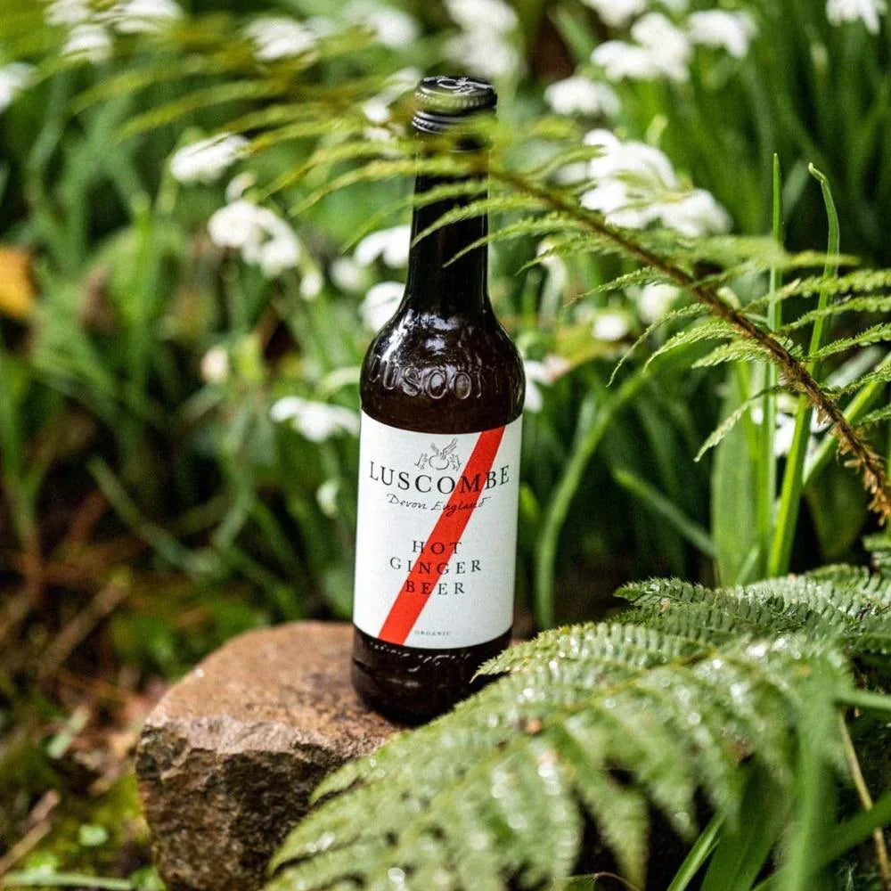 Organic Hot Ginger Beer 270ml by Luscombe, view 5