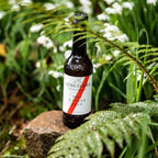 Organic Hot Ginger Beer 270ml by Luscombe, view 5