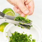 Multi-Blade Herb Scissors, stainless steel