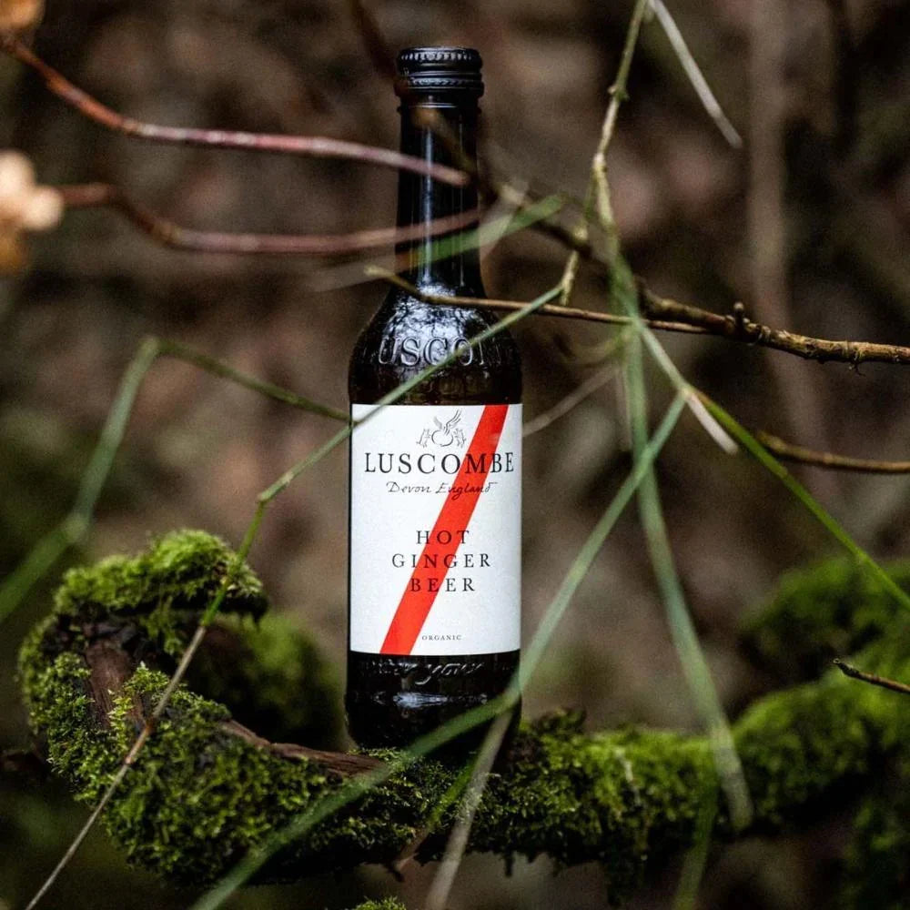 Organic Hot Ginger Beer 270ml by Luscombe, view 4