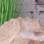 Kavira Divided Mango Wood Serving Dish by Maravi